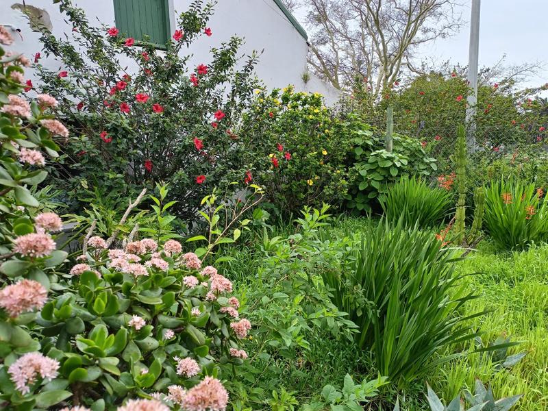 3 Bedroom Property for Sale in Darling Western Cape